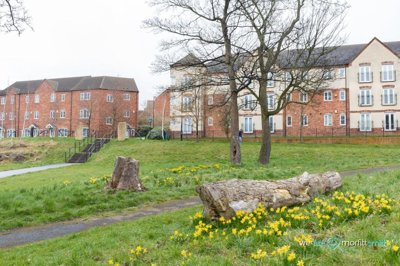 Property on Queen Mary Rise, S2 1JL