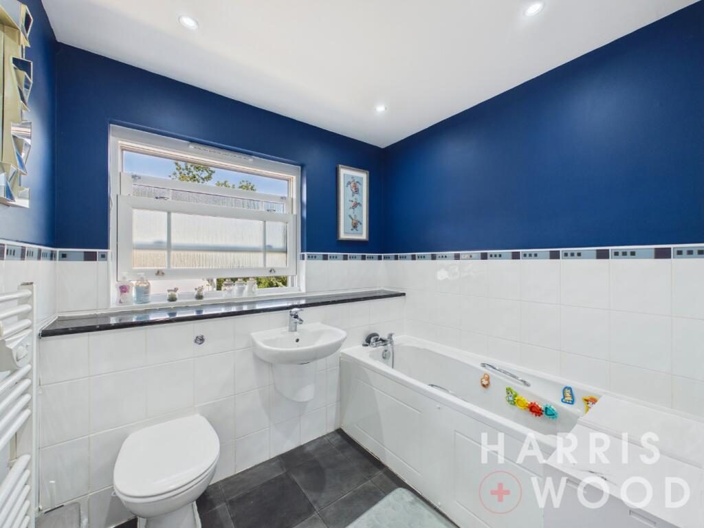 Thumbnail 16
