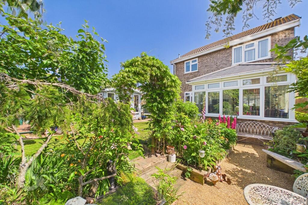 Thumbnail 84