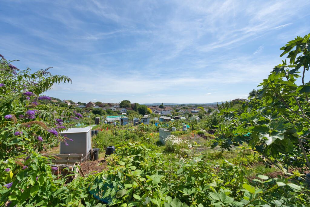 Thumbnail 37