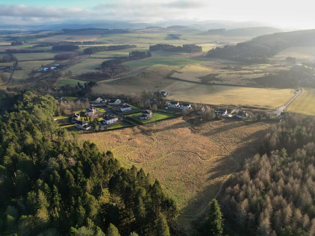 Commercial Development