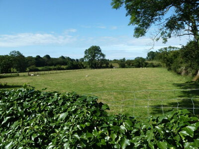 Property on LL78 8JY