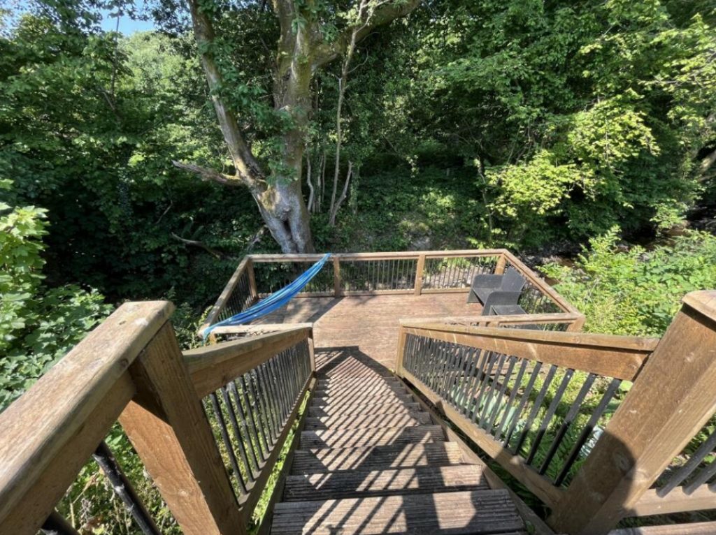Thumbnail 19