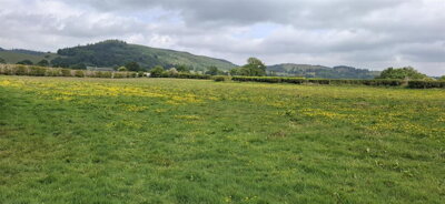 Property on LL23 7EP