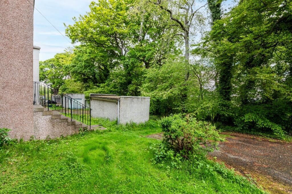 Thumbnail 56