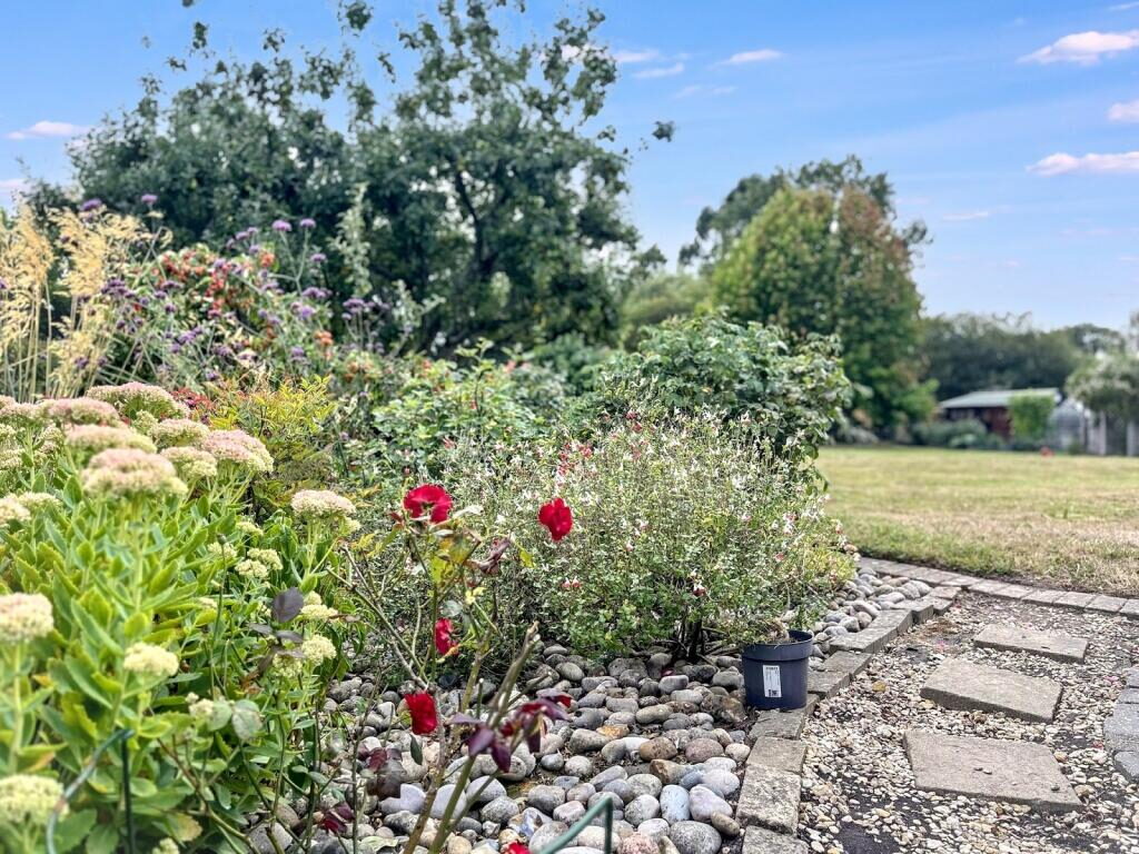 Thumbnail 39