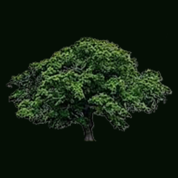 Leaton Knolls Estate