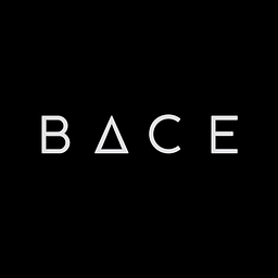 BACE Construction Consultants Ltd  t/a  BACE