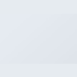 BS Initiative Limited