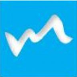 Monaco Surveyors Limited