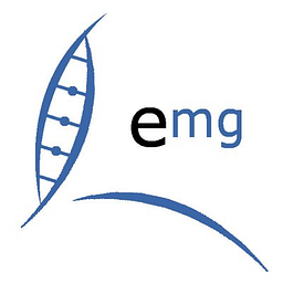 EMG Surveying Ltd