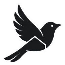 Blackbird Property Surveyors Ltd