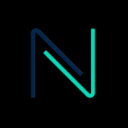 Newsteer Real Estate Advisers