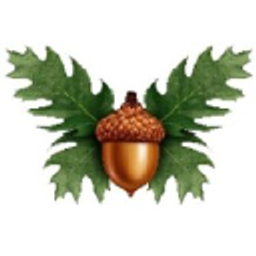 Green Oak Surveyors Ltd