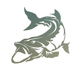 Big Fish Building Consultancy Limited