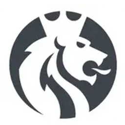 Illuminati Surveyors