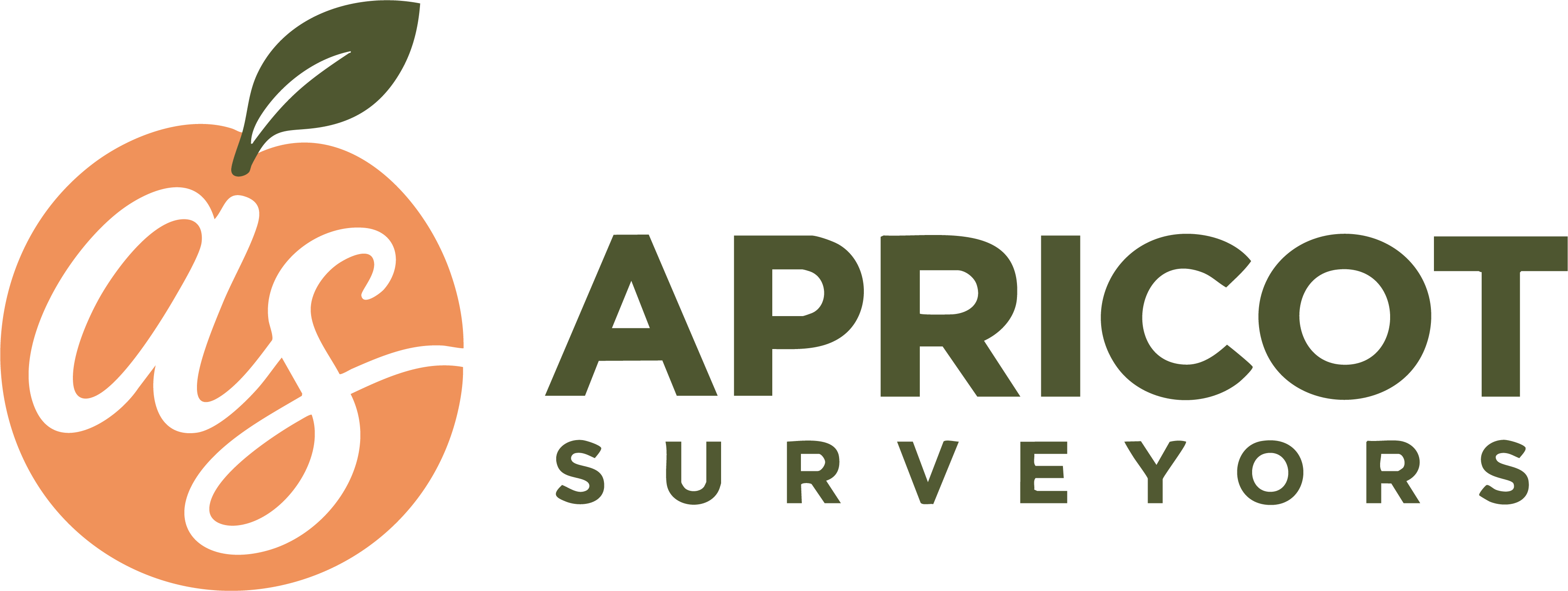 Apricot Surveyors